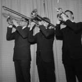 Anders Nordins trio, tre män med musikinstrument.