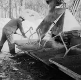 Byggnadsarbete, en man.
Örebro söder.