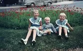 Marianna (Janna) Borg, Hasse Borg och Susanna (Sussi) Borg, 16 juli 1954.