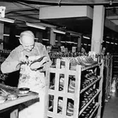 Oscaria Skofabrik, interiör, skotillverkning, en man.
Bilden tagen för broschyr.