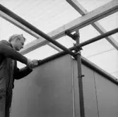 Montering av utställningshallen, en man.