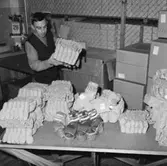 Oscaria Skofabrik, interiör av lagret, en man.
Bilden tagen för personaltidskriften Sko Bandet.