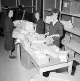 Konsum Domus, affärsinteriör, inredningsarbete inför öppnandet.