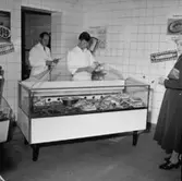 Konsum, affärsinteriör, köttdisk, två män och en kvinna.
Viberg (beställare ?).