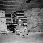 Hammars glasbruk, interiör.
Lastning av flaskor, en man.