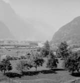 Vy.Schweiz