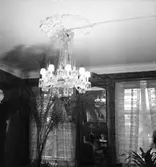 Rumsinteriör, taklampa.
Ljungklicheér (beställare ?).