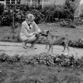 En kvinna och en hund. Bostadshus.
Lugano, Italien.