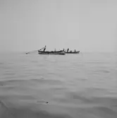 Sjöutsikt, roddbåtar.
Frankrike