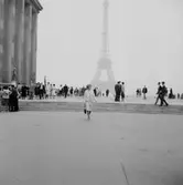 Stadsvy, Eiffeltornet.
Paris, Frankrike.