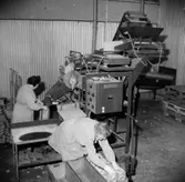 Interiör, förpackning av potatis, två kvinnor.
Konsum.