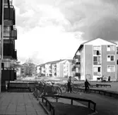 Bostadsområde.
Baronbackarna, Örebro.
Arkitekt Alm
Ekholm & White