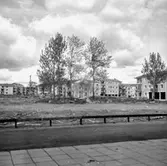 Bostadsområde.
Baronbackarna, Örebro.
Arkitekt Alm
Ekholm & White