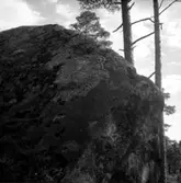 Skogsområde, sten.
Glanshammars Häradsallmänning.