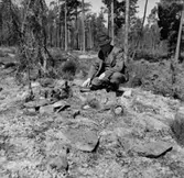 Skogsområde, en man.
Glanshammars Häradsallmänning.