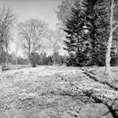 Skogsområde.
Hardemo Häradsallmänning.