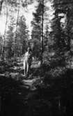 En kvinna i skogen.