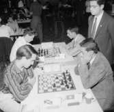 Schack VM i augusti 1966.
Holland-Schweiz.