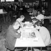 Schack VM i augusti 1966.