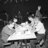 Schack VM i augusti 1966.