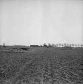 Vy över gamla flygfältet vid Gräveby.