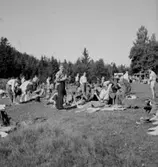 Riksmästerskapet i orientering.
Konsum.