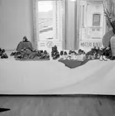 Interiör.
Levi K. Olsson, skoutställning.