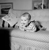 Rumsinteriör, en liten pojke i soffan.
Beijer