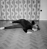 Rumsinteriör, en kvinna, gymnastik.
Karin Lindén