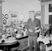 Rumsinteriör, en man.Hjalmar Lindskog på 75-årsdagen.