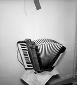 Musikinstrument: dragspel.
Skandia Musik