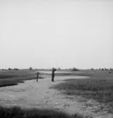 Två pojkar med kikare.