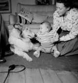 Rumsinteriör, en kvinna, en liten pojke och en hund.
Beijer
