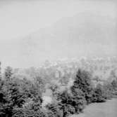 Vy.Schweiz