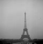 Stadsvy, Eiffeltornet.
Paris, Frankrike.