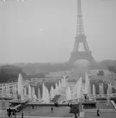 Stadsvy, Eiffeltornet.
Paris, Frankrike