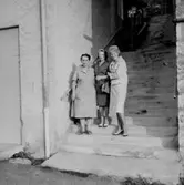 Tre kvinnor.
Paris, Frankrike.