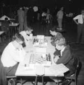 Schack VM i augusti 1966.