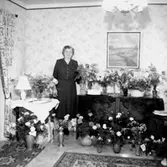 Rumsinteriör, en kvinna.
Fru Greta Danielsson på födelsedagen.