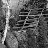 Jakt- och Naturvårdsutställningen, utställningsmonter med Rappson-kläder.