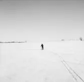 Skidåkning på Kvismaren, en pojke.
Sörling.