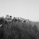 Grupp i gröngräset.