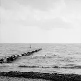 Familjegrupp fem personer som simmar.
Hallebys resa.