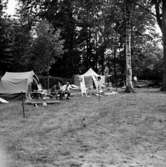 Camping-Karavanen, Konsums utställning i Folkparken.