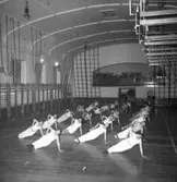 Interiör av gymnastiksal, Örebro Arbetarnas Gymnastikförening (Ö.A.G.F.), gymnastiktrupp.