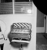 Musikinstrument: dragspel.
Skandia