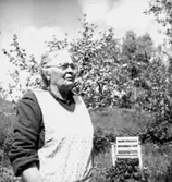 En äldre kvinna.
Orvar Larsson (beställare).