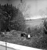 Gävleutställningen, interiör.