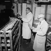 Oscaria Skofabrik, interiör, skotillverkning, två män.