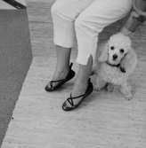 En kvinna med Oscaria-skor och hund.
Oscaria Skofabrik.
Bilden tagen för fönsterskylt.